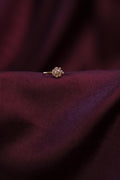 ROSETTE CLEAR STONE NOSEPIN